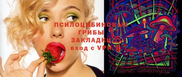 альфа пвп Алексеевка