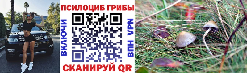 Галлюциногенные грибы GOLDEN TEACHER  Южно-Сахалинск 