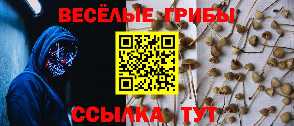 Псилоцибиновые грибы прущие грибы Южно-Сахалинск